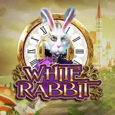 White Rabbit